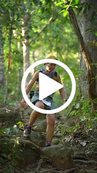 BIB:  <button type="button" onclick="openModal(27641829)" class="btn btn-primary btn-sm float-right" data-toggle="modal" data-target=".modal-high-quality">
                <i class="fa fa-download"></i> Download
                </button>